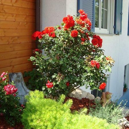 Ferienwohnung Weiser Kressbronn am Bodensee Buitenkant foto