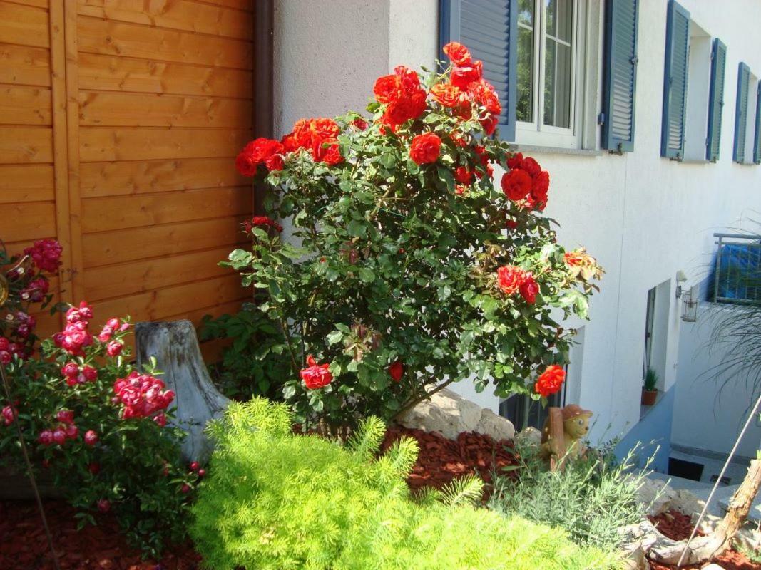 Ferienwohnung Weiser Kressbronn am Bodensee Buitenkant foto